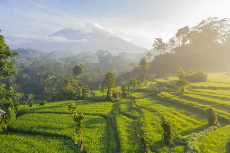 Combiné Phuket Bali