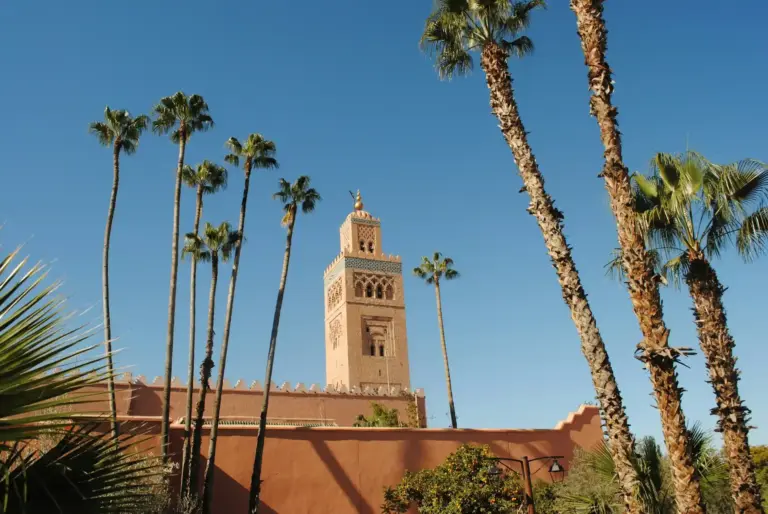 Hotel Club Marrakech 5*