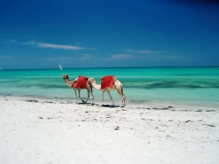 Voyage spirituel au Maroc