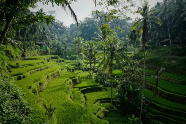 Combiné Malaisie Bali