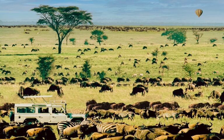Vaccin obligatoire Tanzanie