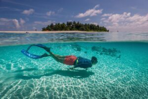 Snorkeling et plongée sous-marine