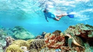 Zanzibar : Safari Blue