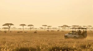 la Tanzanie