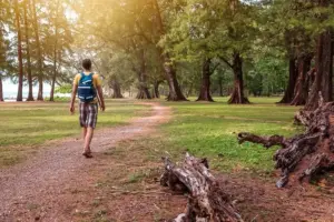 Phuket : 🌿 Nature & aventure