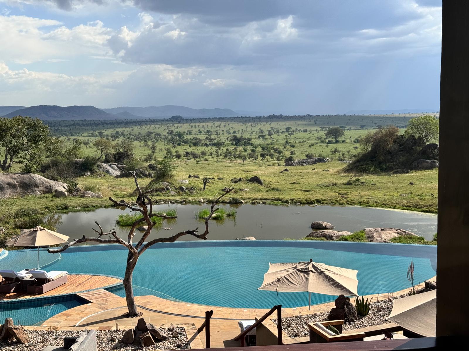 lodge safari Tanzanie piscine luxe savane