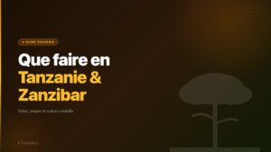 Que faire en Tanzanie Zanzibar