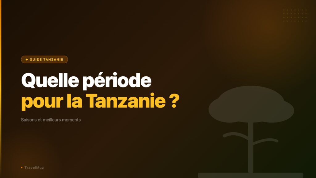 Tanzanie