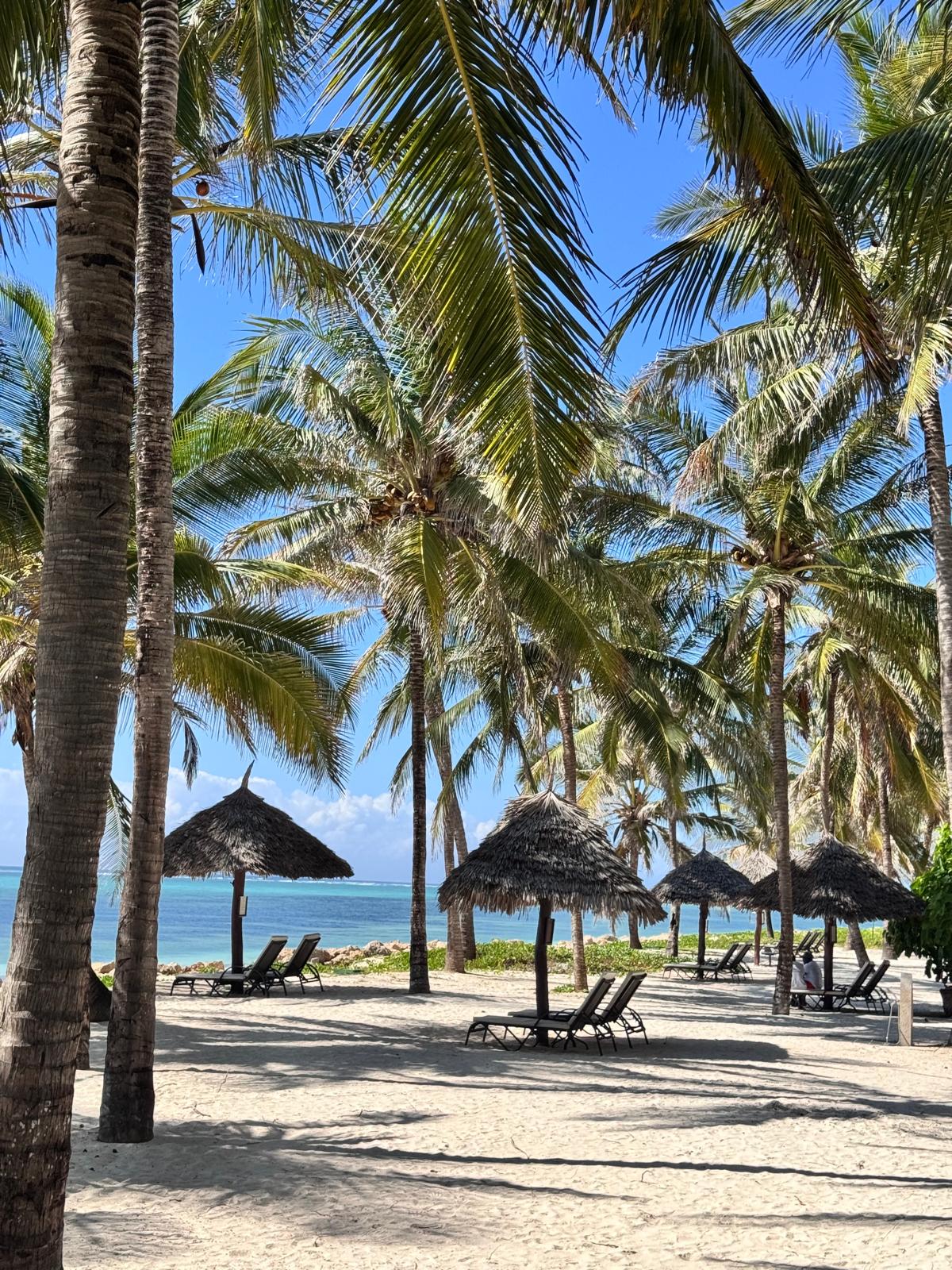 Zanzibar plage palmiers Océan Indien